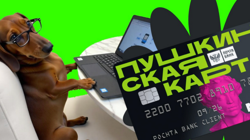 Лимит «Пушкинской карты» хотят повысить и добавить в охват программы цирки