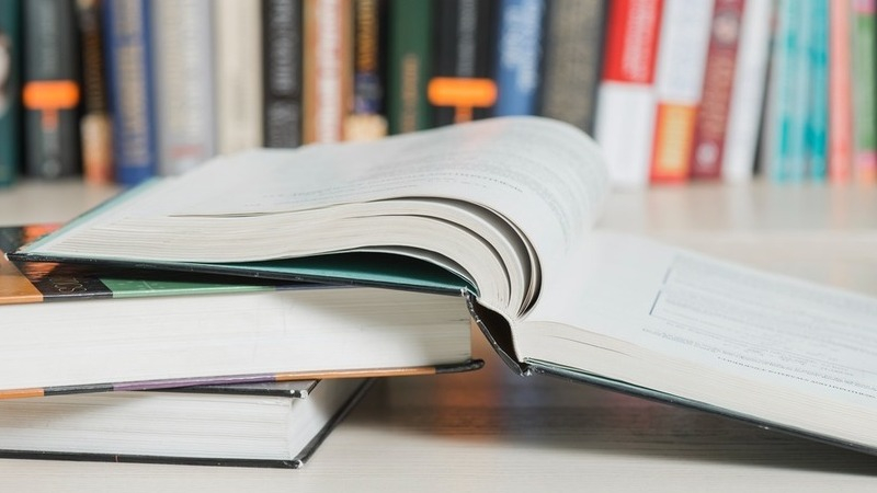 Новые госучебники по музыке и ИЗО будут использовать в школах с 2031 года