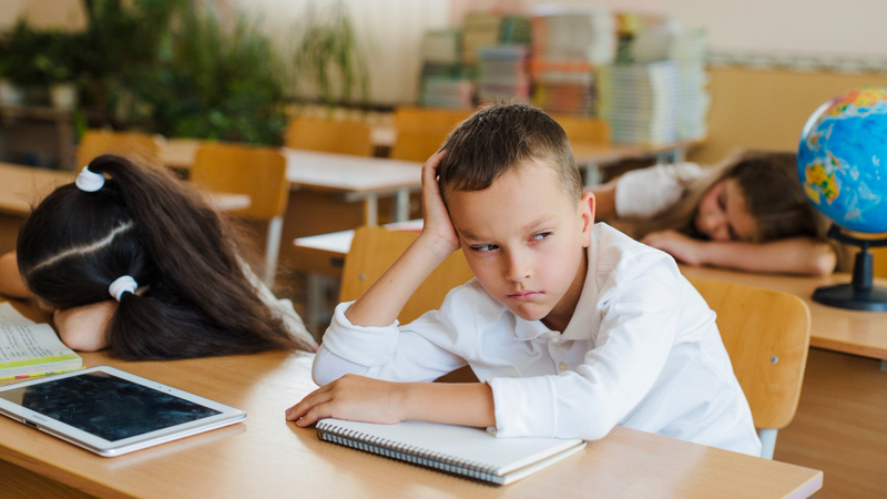 Оценка за поведение: в СПЧ поддерживают трехуровневую модель